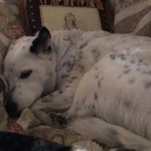 Meet your Posher, Kara